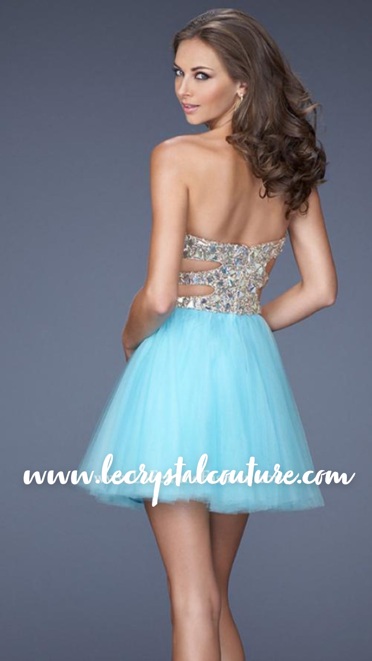 Super Bling Fancy Bodice w/ Tulle Skirt Dress