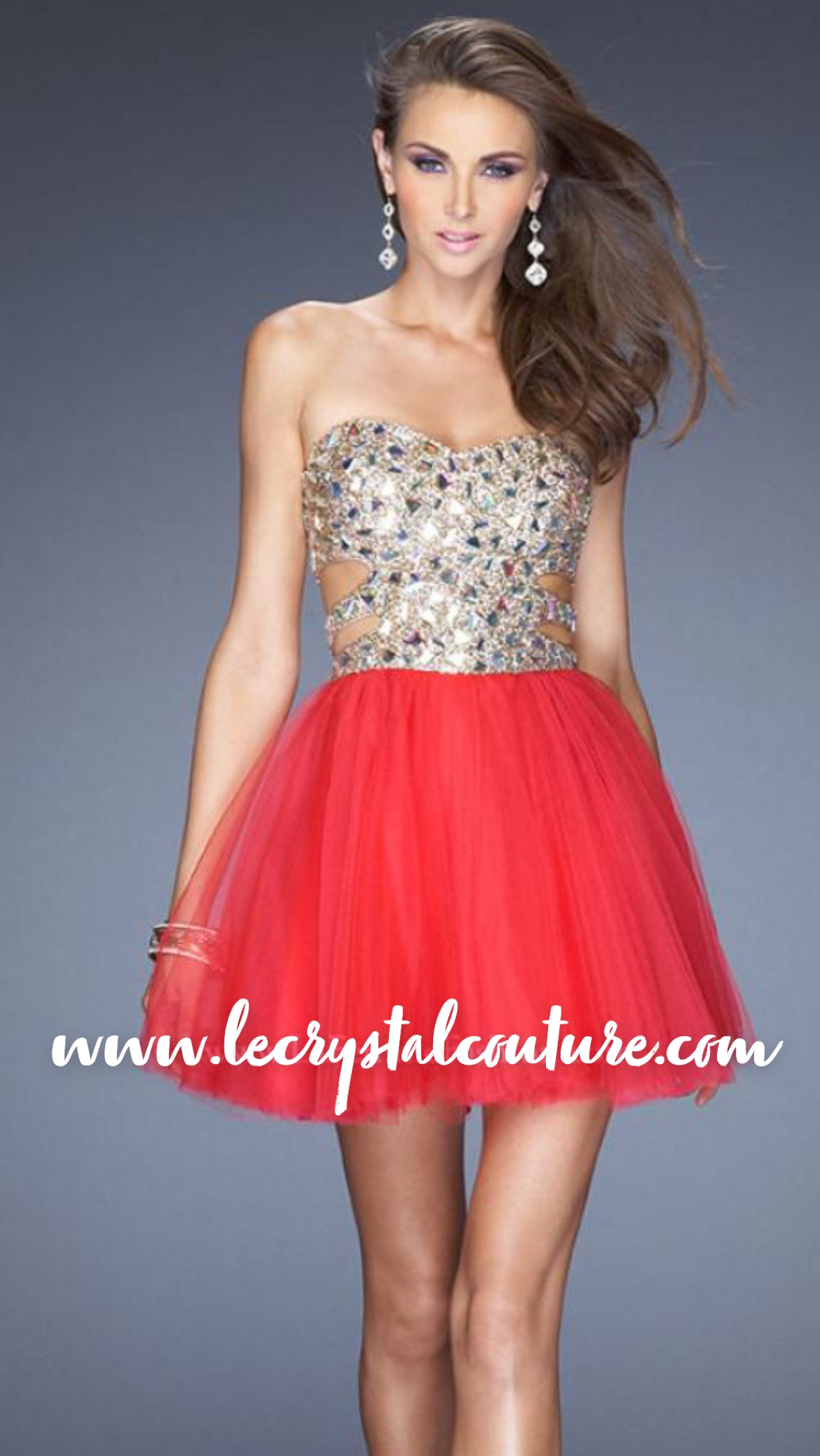 Super Bling Fancy Bodice w/ Tulle Skirt Dress