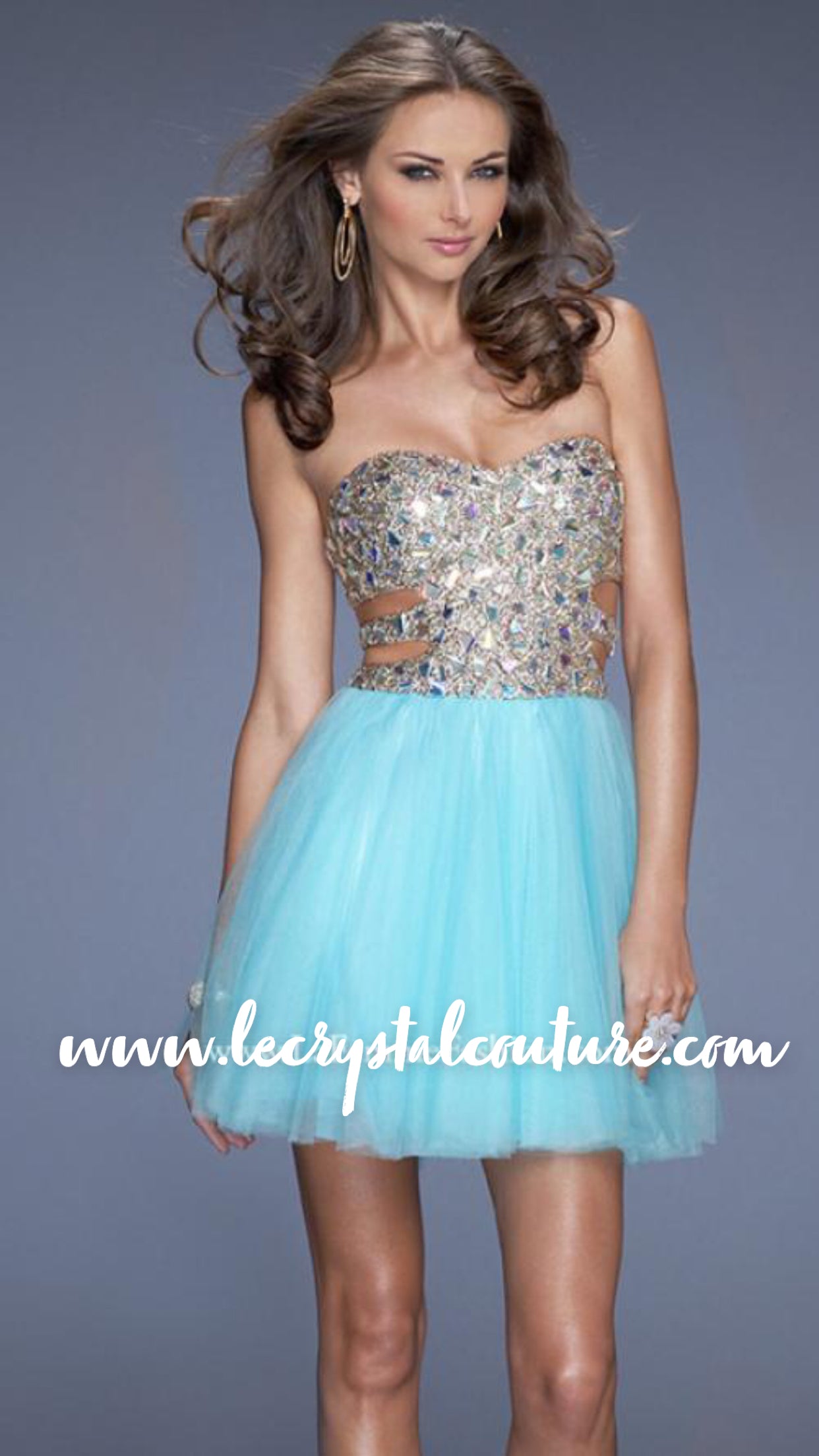 Super Bling Fancy Bodice w/ Tulle Skirt Dress