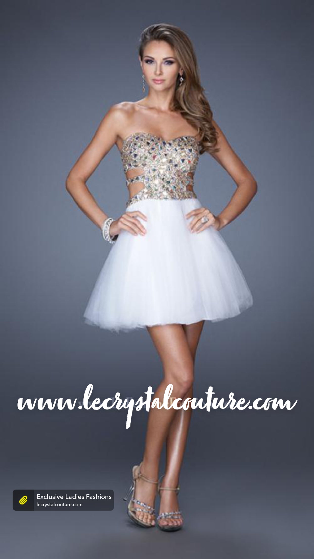 Super Bling Fancy Bodice w/ Tulle Skirt Dress